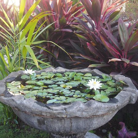 Villa Omah Semar Tulamben  Ngoại thất bức ảnh