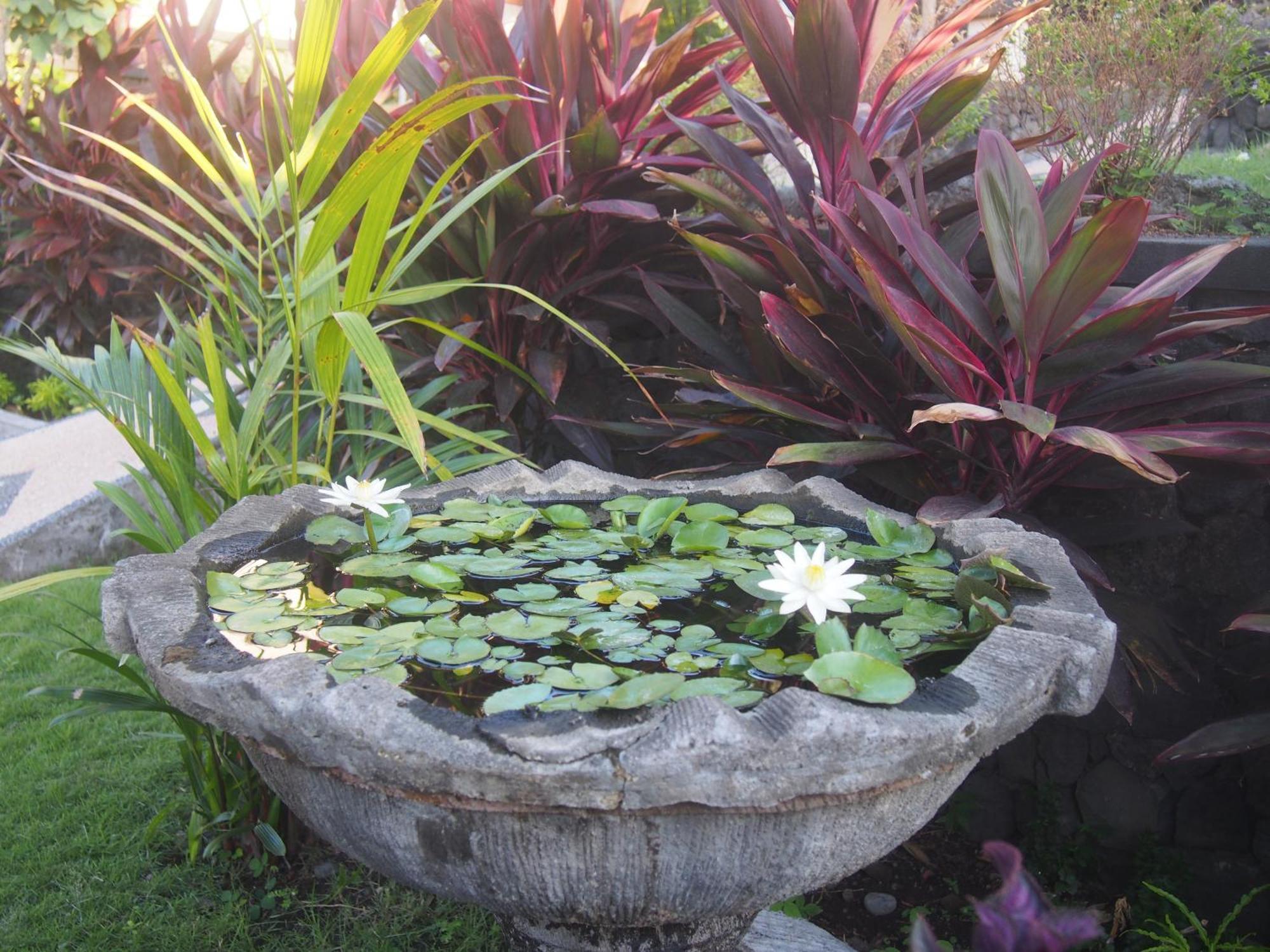 Villa Omah Semar Tulamben  Ngoại thất bức ảnh